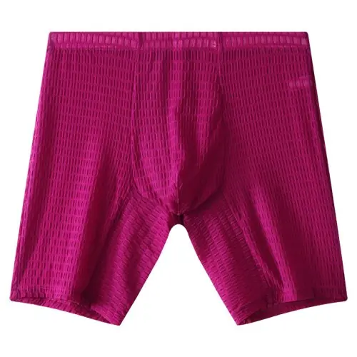 Image de Boxers Homme Transparent en Dentelle Respirante