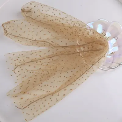 Image de Chaussettes Dentelle Transparentes Femmes - Style Princesse