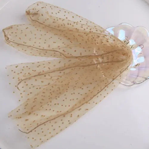 Image de Chaussettes Dentelle Transparentes Femmes - Style Princesse