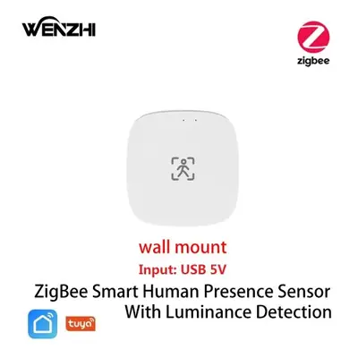 Image de Capteur de Mouvement Intelligent WiFi & Zigbee