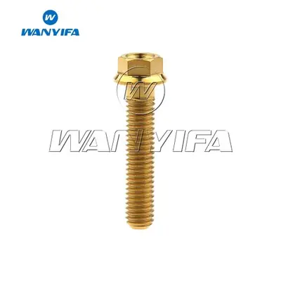 Image de Boulons Titane M5/M6 pour Moto - Vis à Bride Hexagonale