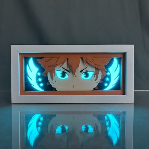 Vue 13 du produit