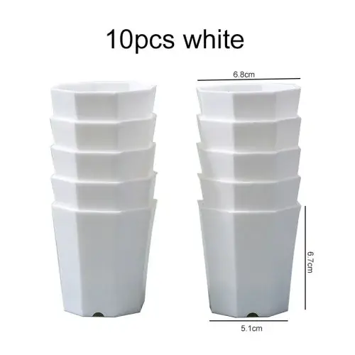10 pcs BJ blanc