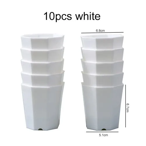 10 Stk. BJ Weiß