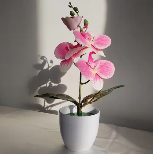 07