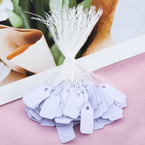 Afbeelding van 100 stuks witte rechthoekige lege etiketten met koord voor sieraden – perfect voor prijskaartjes, promotielabels en displaypresentatie