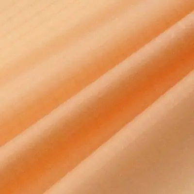 Image de Tissu Nylon Ripstop 10m - Imperméable & Résistant