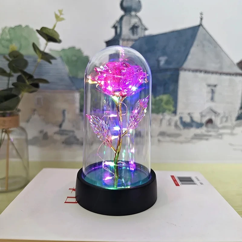 Vue 8 du produit