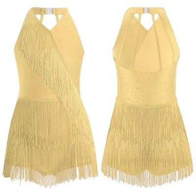 Image de Justaucorps de Danse Scintillant avec Franges