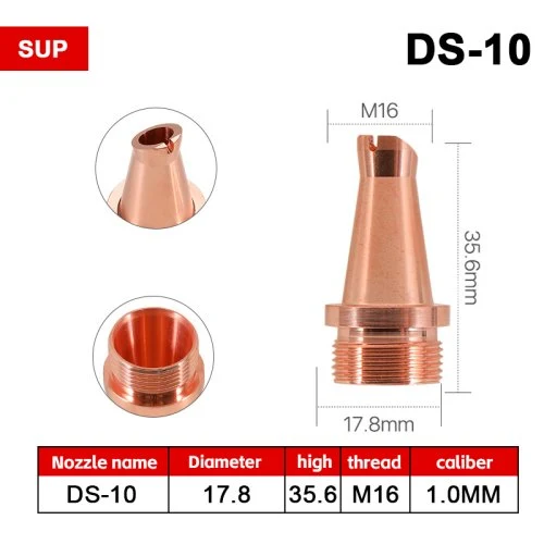 DS-1.0