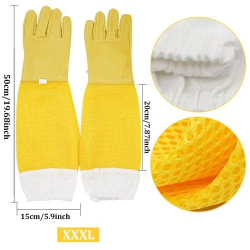 Xxxl