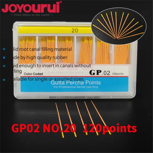 GP02-NO.20