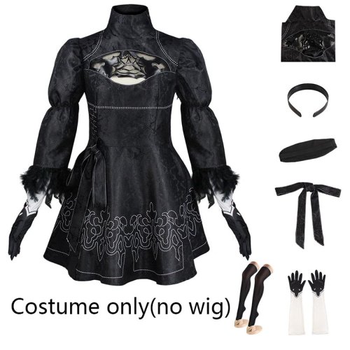 Costume only(no wig)