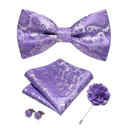 Image de Ensemble de Nœud Papillon Homme - Élégance & Raffinement