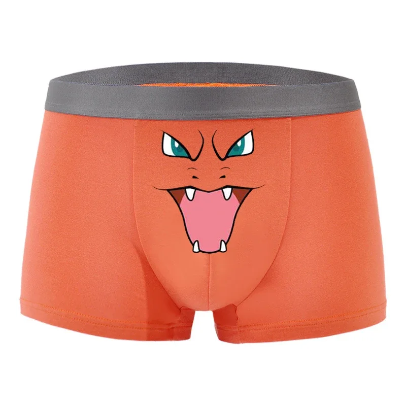 Vue 13 du produit