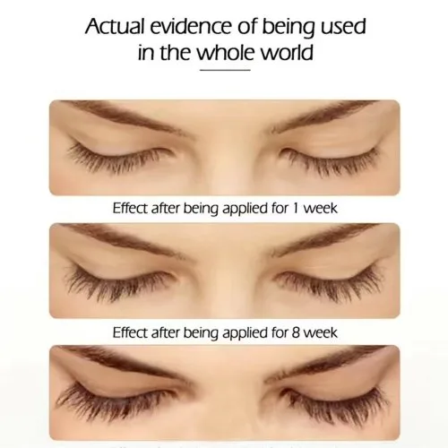 Vue 5 du produit