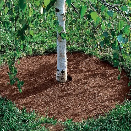 Vue 5 du produit