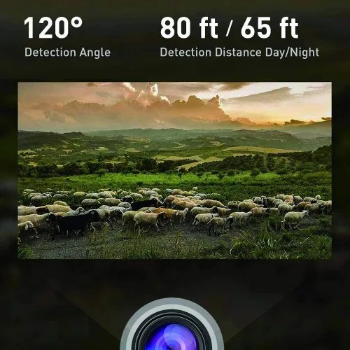 Vue 5 du produit