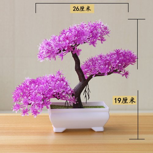 Vue 32 du produit
