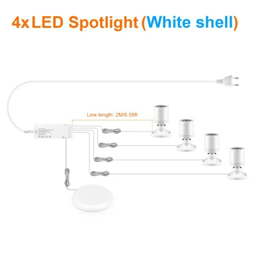 4xSpotlight wit