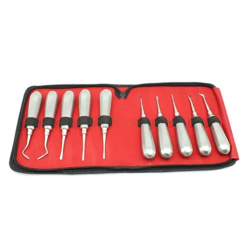 10pcs 1set