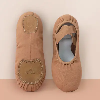 Image de Chaussures de Ballet Souple pour Filles et Femmes
