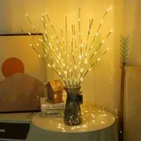 Vue 1 du produit
