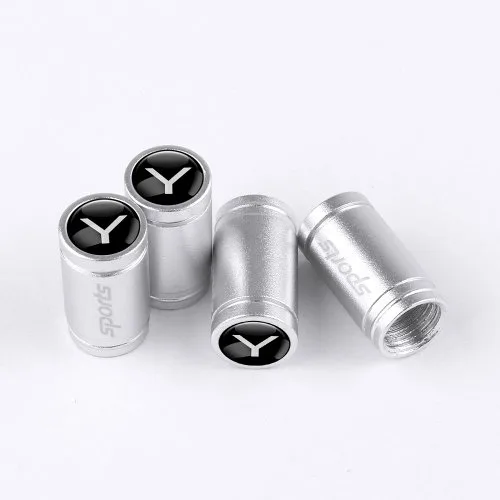 Ms-silber-modell Y