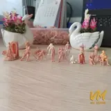 Vue 1 du produit