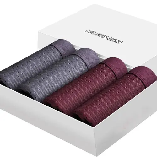 Image de Culottes Homme Respirantes - Ensemble 4 Pièces Sexy en Maille Fine