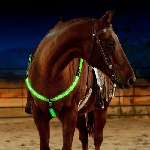 Image de Harnais LED Lumineux pour Cheval - Sécurité & Style