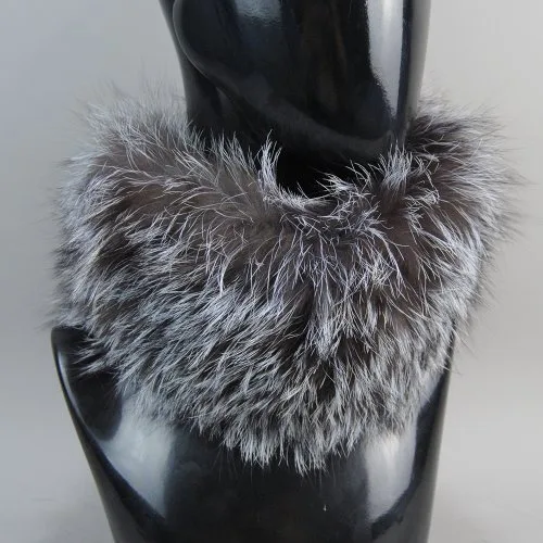 Silver fox