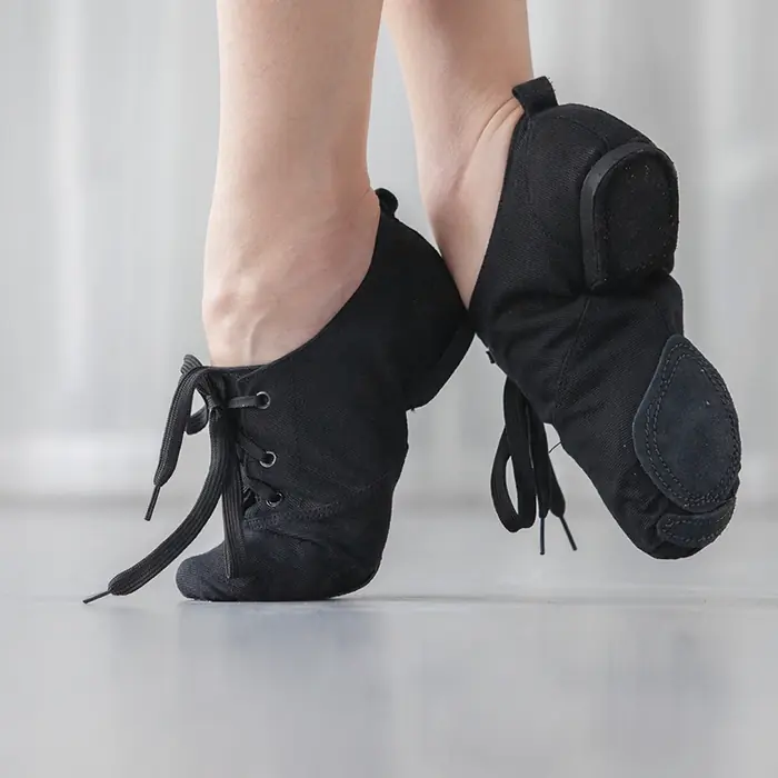 Image de Chaussures de Danse Jazz & Ballet Souples - Adultes & Enfants