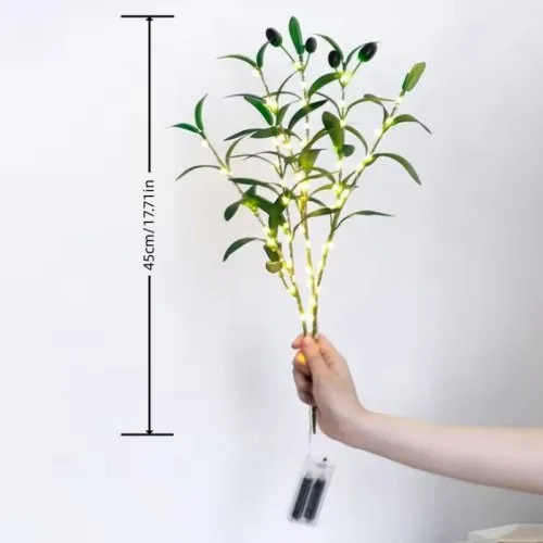 Vue 5 du produit