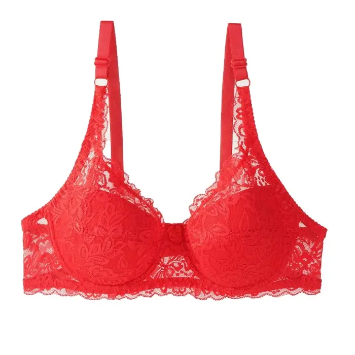 Image de Soutien-gorge dentelle armatures push-up taille 36-42