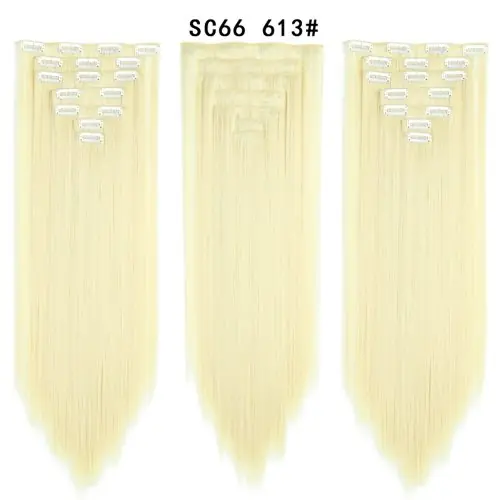 SC66 613