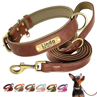 Collier en Cuir Personnalisé pour Chien avec Plaque Gravée