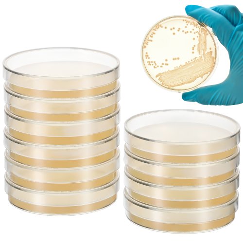 Immagine di Piastre di Petri con Agar Nutriente Pronte all'Uso - Confezione da 10 Pezzi da 7 cm per Esperimenti Scientifici e Coltivazione Microbica