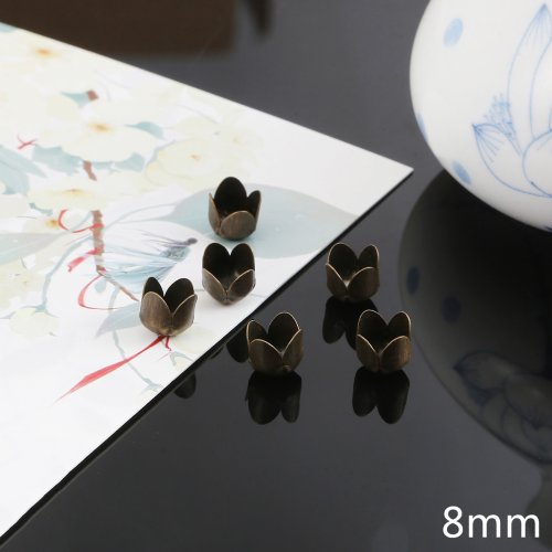10pcs