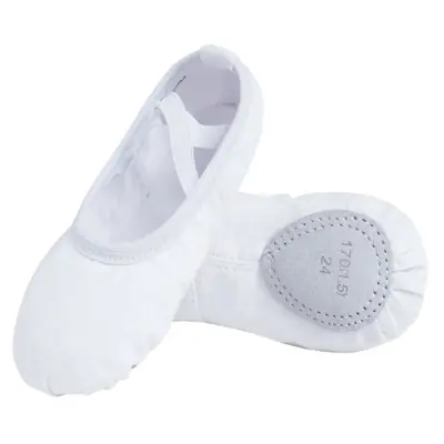 Image de Chaussures de Ballet Souple pour Filles et Femmes