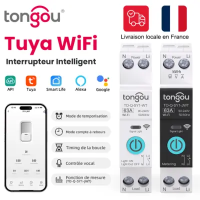 Image de Interrupteur Intelligent WiFi 63A - Contrôle à Distance & Minuterie
