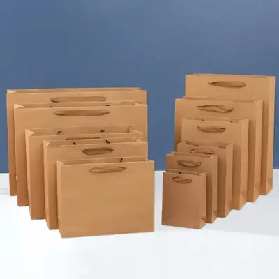 Image de Sacs Cadeaux Kraft - Lot de 10 Pièces