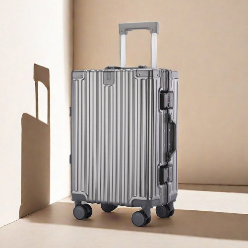 Image de Valise Trolley Homme Grande Capacité 2024