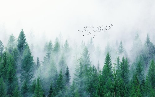 Vue 14 du produit