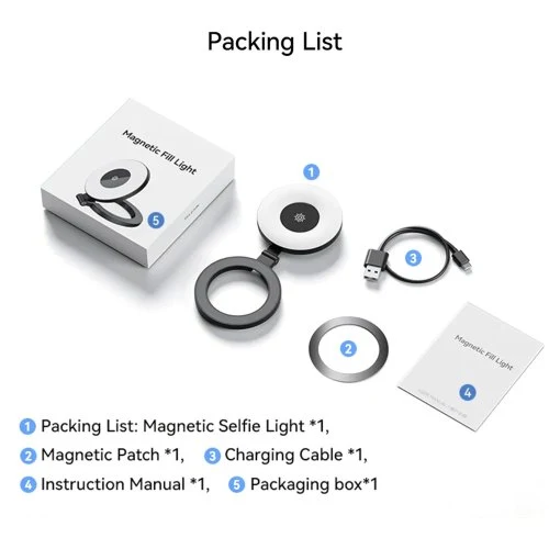 Magnetic Light