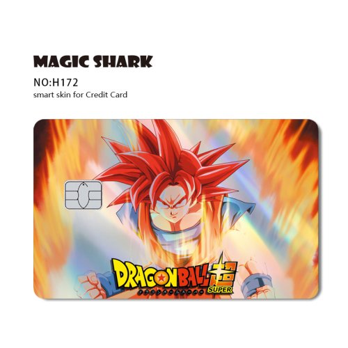 Vue 10 du produit