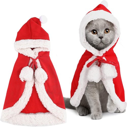 Afbeelding van Kerstman Kostuum voor Katten & Honden – Grappig en Feestelijk!