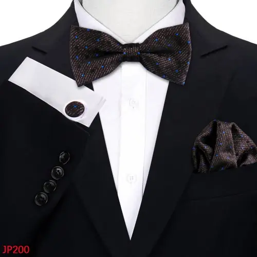 Image de Ensemble Nœud Papillon Soie Paisley - Élégance Homme