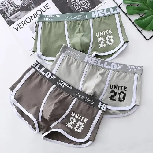 Image de Boxers Homme Coton Respirant - Lot de 3
