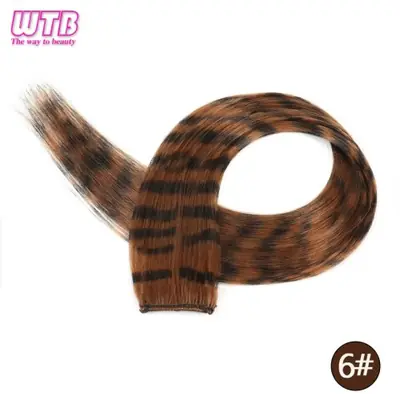 Image de Extensions de Cheveux Clip-in Longues & Lisses - Style Zèbre Coloré